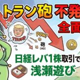 【デイトレブログ】トランプ砲の不発。日経レバ1株取引で遊ぶ日。
